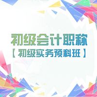 初级会计职称：初级实务