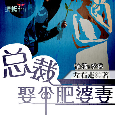 总裁娶个肥婆妻