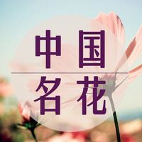 中国名花