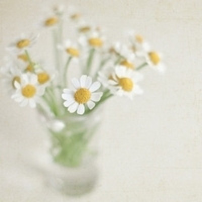 面对面  一路有你就好