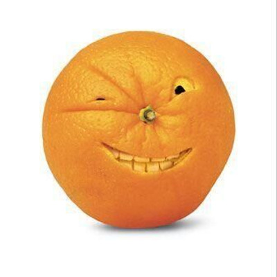 橙子来了
