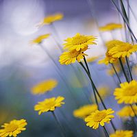 烟大会客厅 霍怡洁