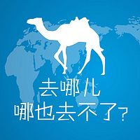 去哪儿，哪也去不了？