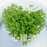 轻松学会心理学