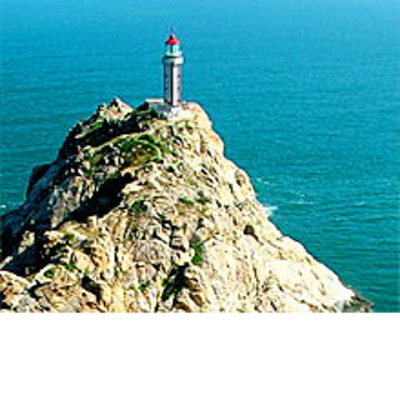 孤岛春天
