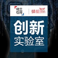 荷兰创新实验室