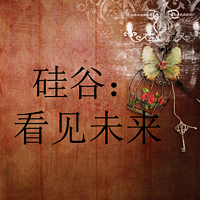 硅谷：看见未来