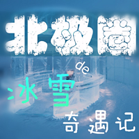 北极圈的冰雪奇遇记