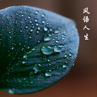 风语人生