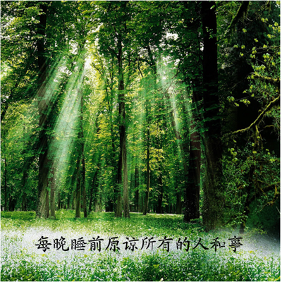 每晚睡前原谅所有的人和事