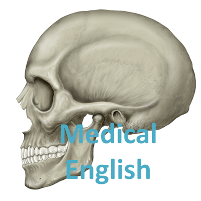 Medical English 解剖