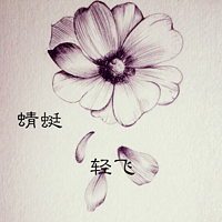 蜻蜓轻飞