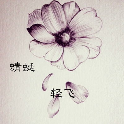 蜻蜓轻飞