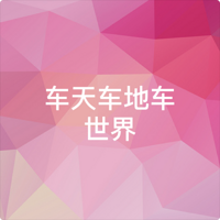 车天车地车世界