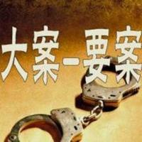 大案要案侦破实录