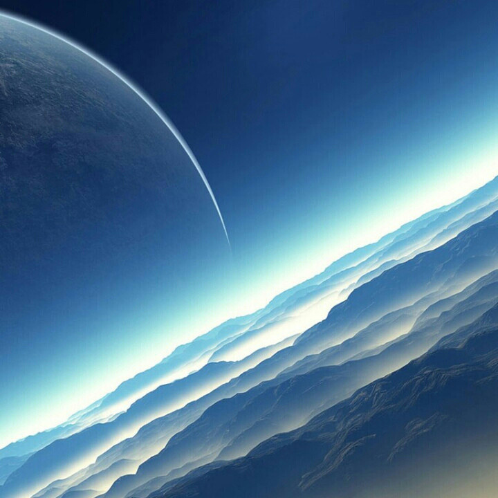 大呲花998