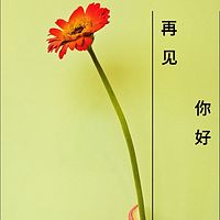 你好  再见