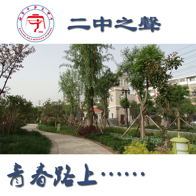 青春路上