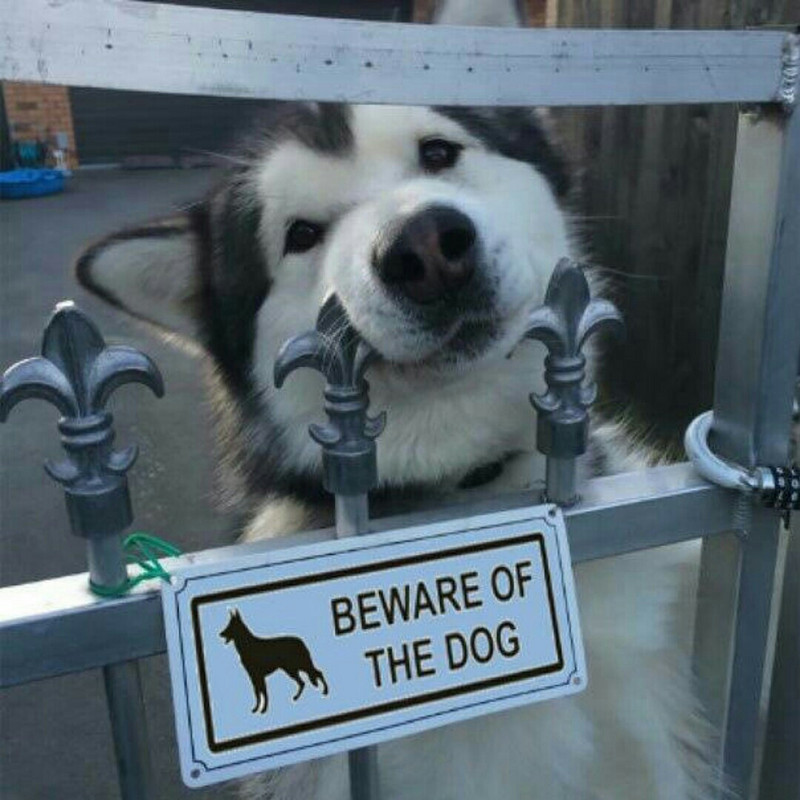 艾桐