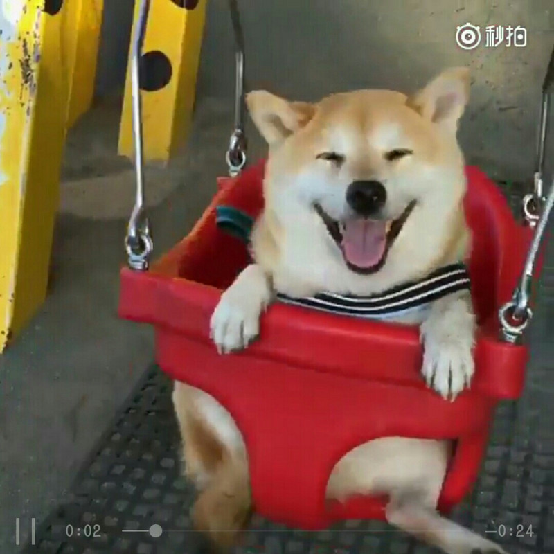 豸乊屰