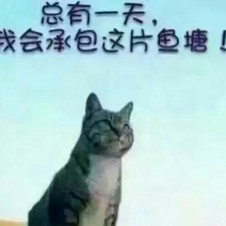 善健者行