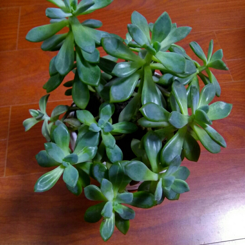 转弯