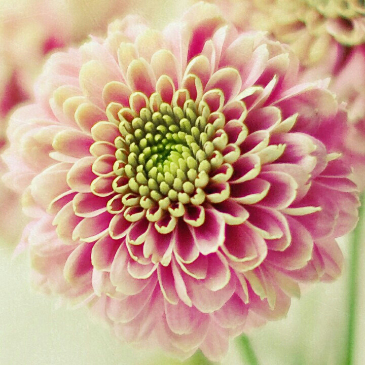 @@莎莎@@