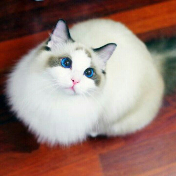 清于水美于歌