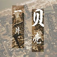 《一片贝壳》