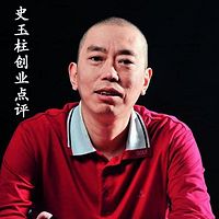 史玉柱创业点评