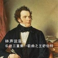 林声说音乐--乐迷三重奏 歌曲之王舒伯特