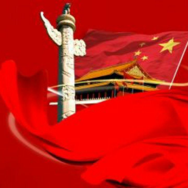 老杨.