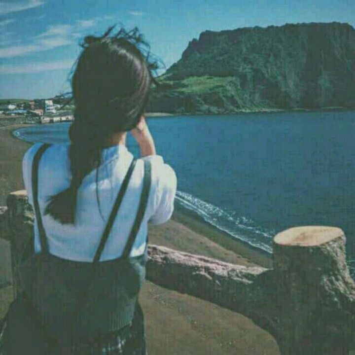 半字浅眉.