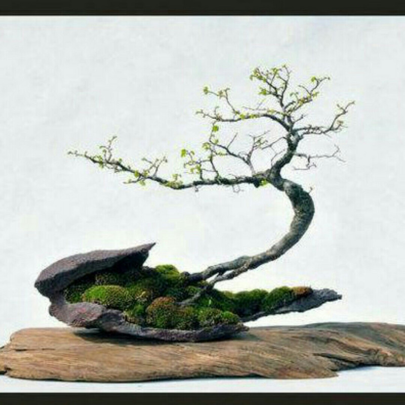 ＿没有背景丶只有背影