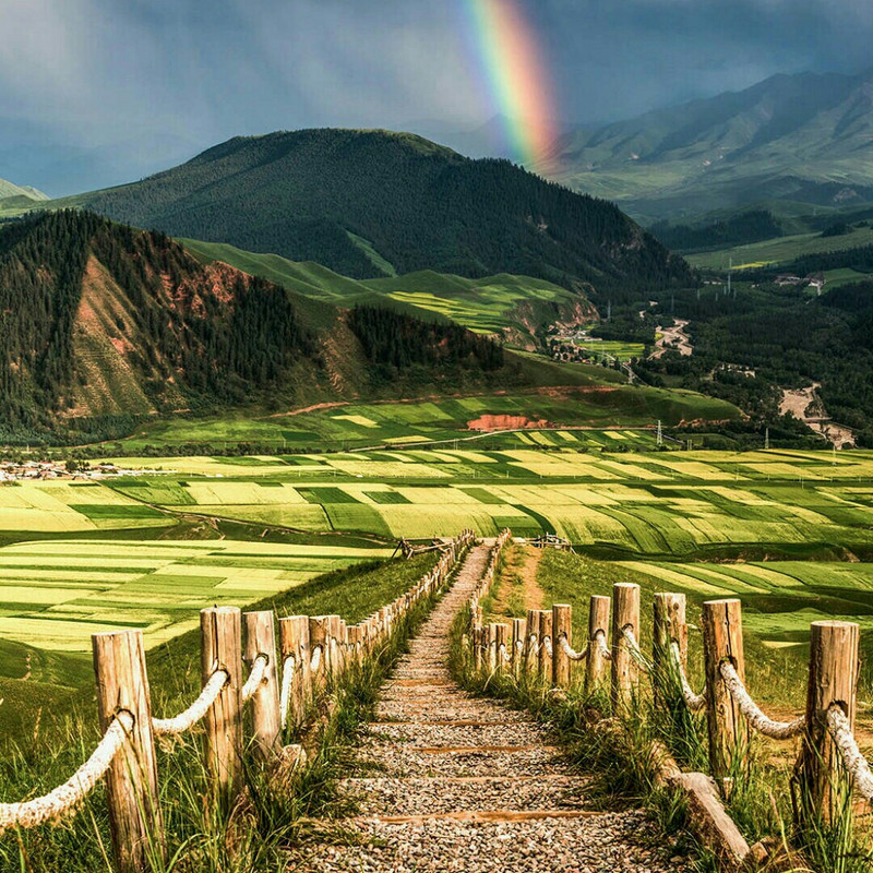 竹林静雨