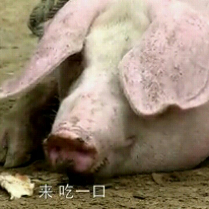 在你身旁