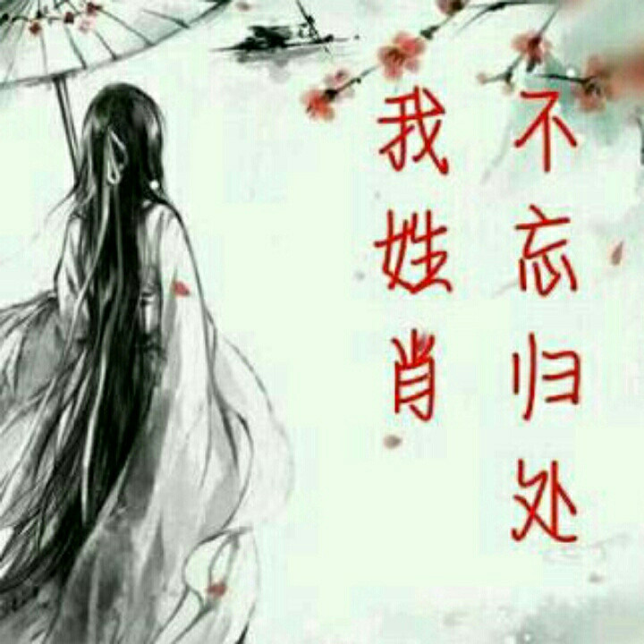 :失忆的小猫咪