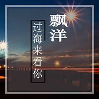 漂洋过海来看你