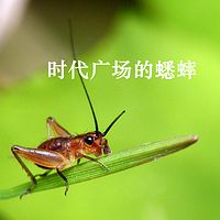 【樊华阿姨讲故事】时代广场的蟋蟀