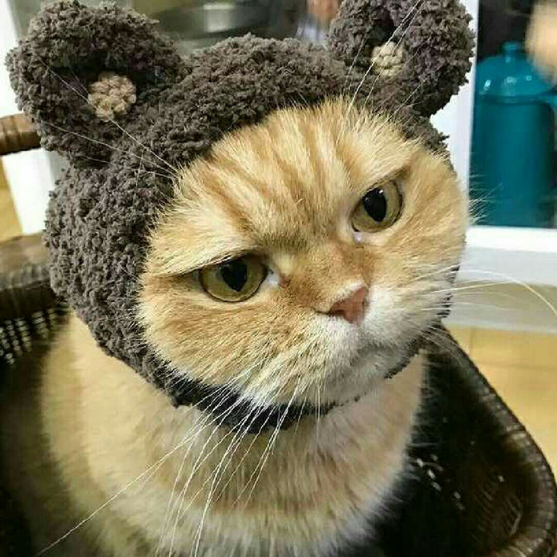 迈阿密