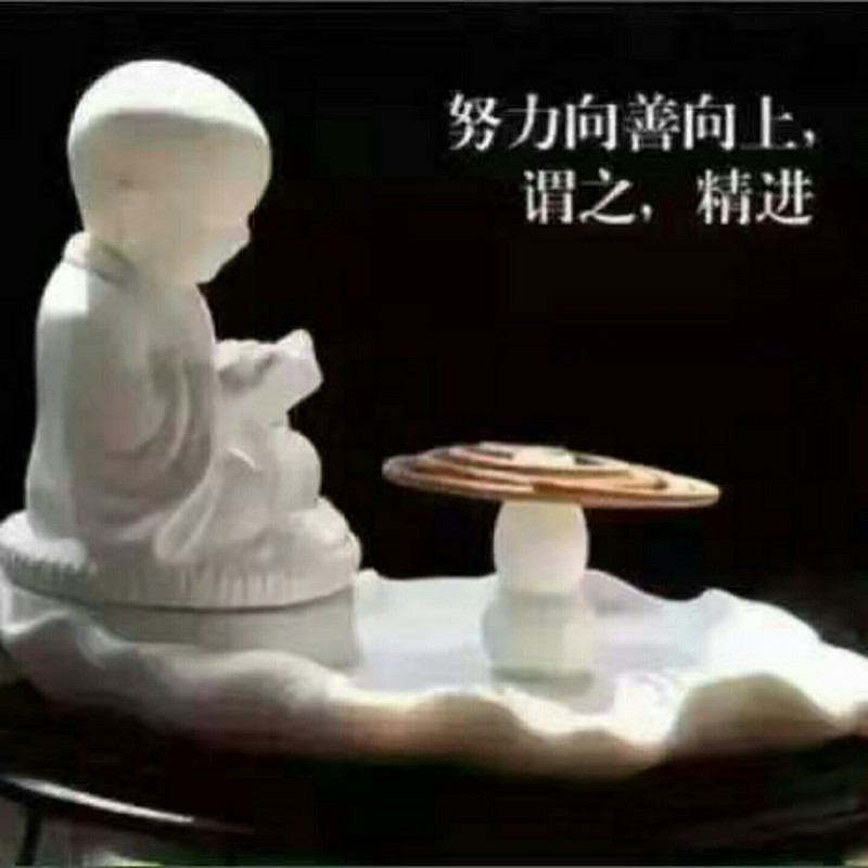 /tp燕子/tp