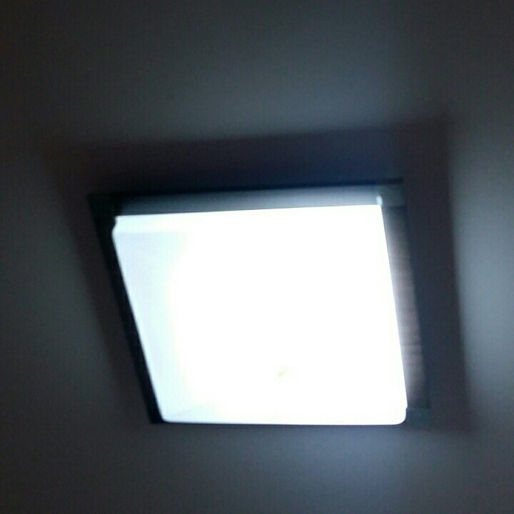 顺子