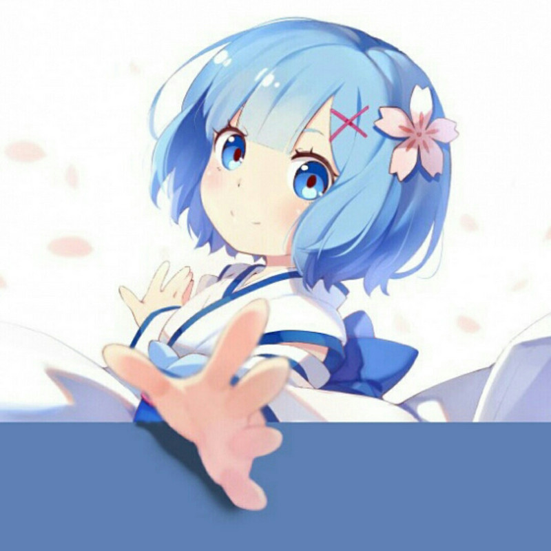 一只野鸭子_