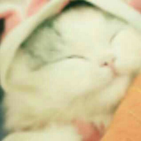 铃珑