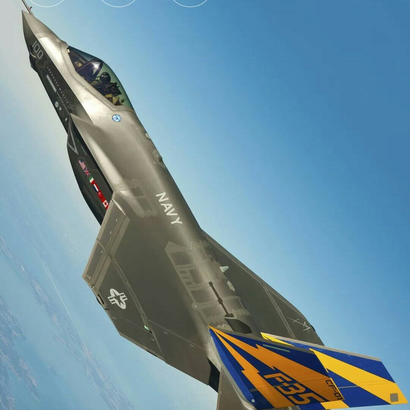 白天不懂爷的黑