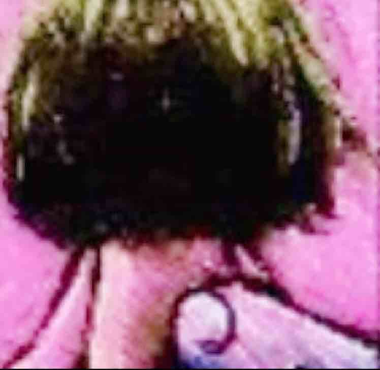 丫丫*D*