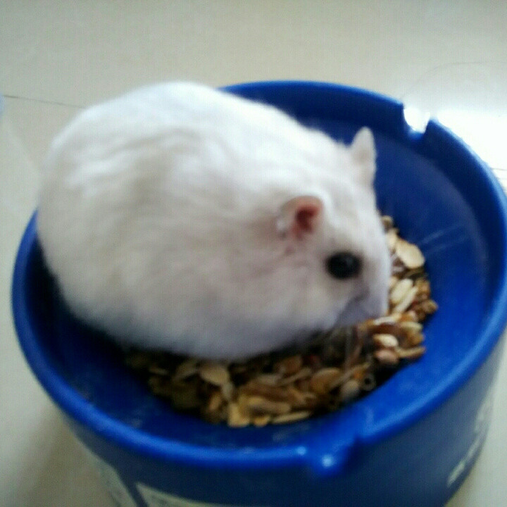 简单