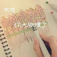 我想，你大概懂了