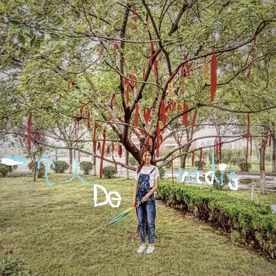 一个人的radio