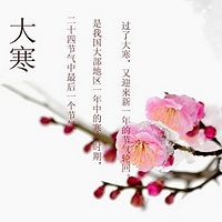 2017年1月20日大寒小年特别节目